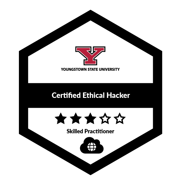 Certified Ethical Hacker (CEH)