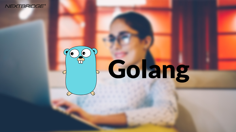 Read more about the article Discover the Wonderful World of Golang