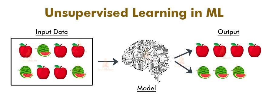 Supervised and Unsupervised learning: Know the Difference?