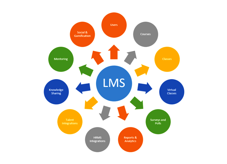 LMS User Experience and LMS Interface Design