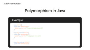 Read more about the article Polymorphism in Java: Exploring Examples and Best Practices