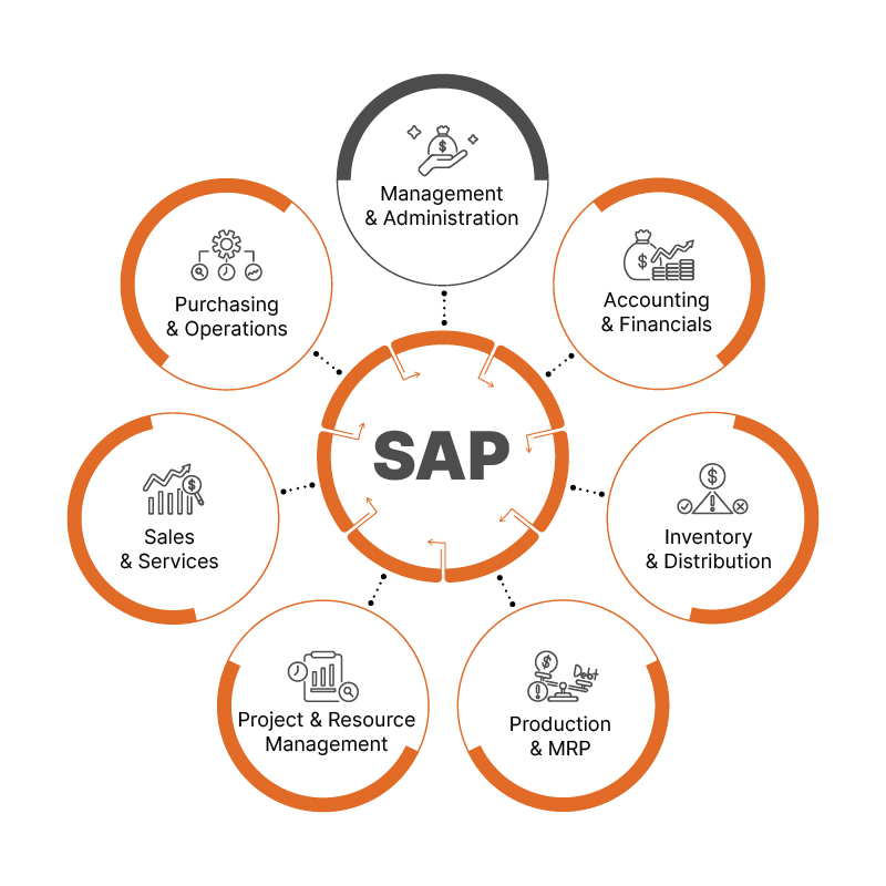 sap software functions diagram